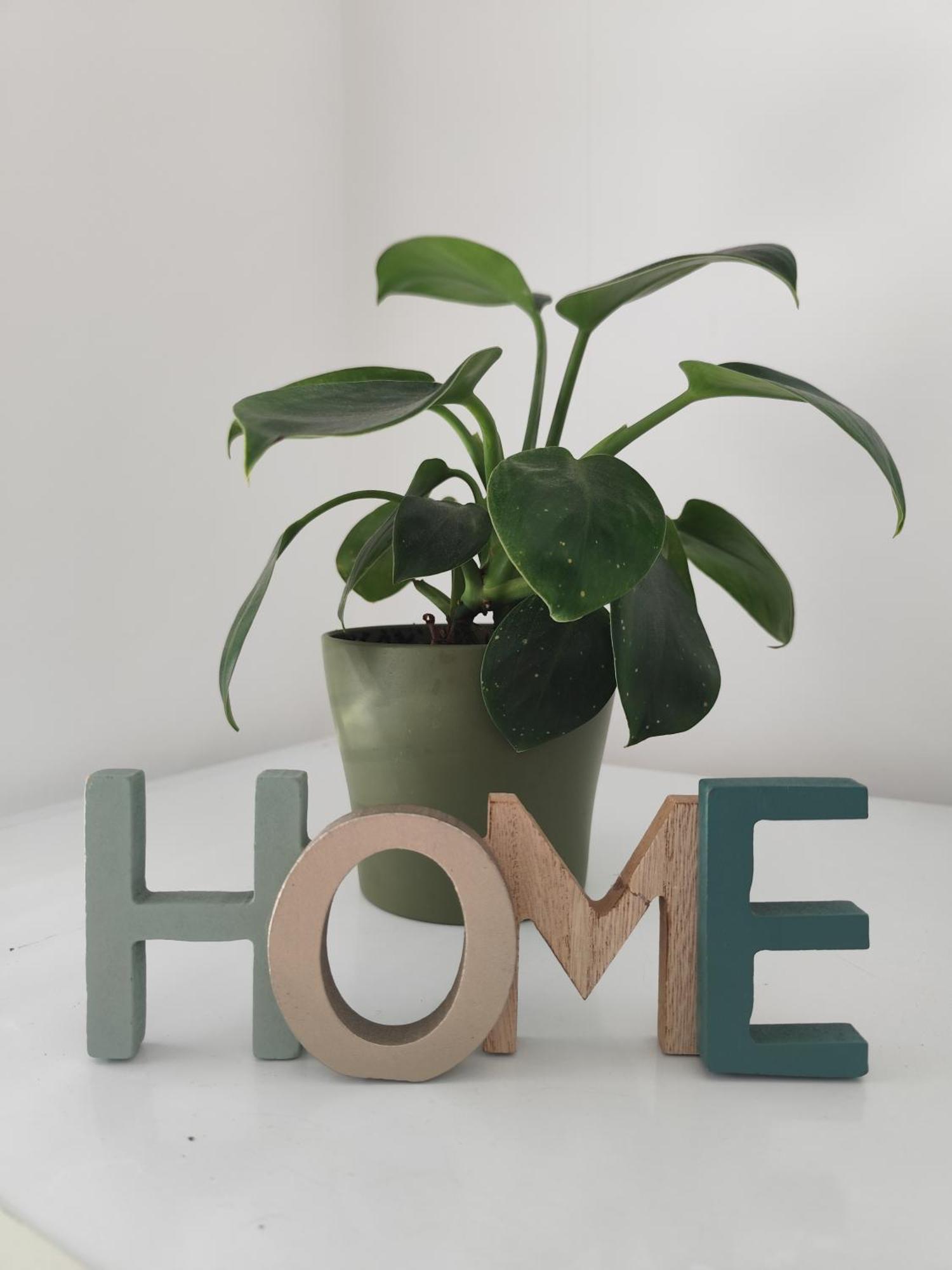 קוטור Apartments Boka Pearl מראה חיצוני תמונה